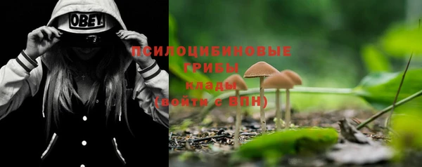 мет Снежинск