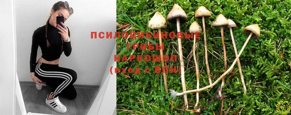 мет Снежинск