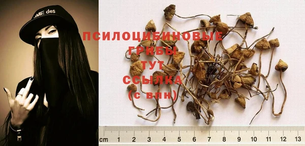 mix Слюдянка