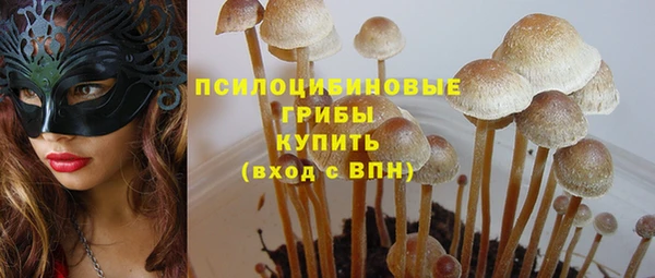 мет Снежинск