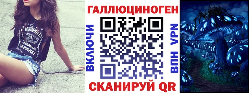 Купить  Рассказово  Галлюциногенные грибы GOLDEN TEACHER 
